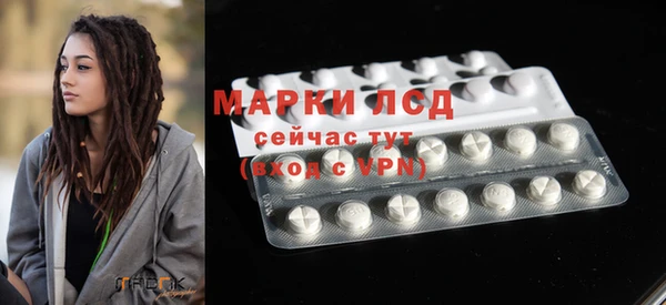 прущие грибы Бронницы