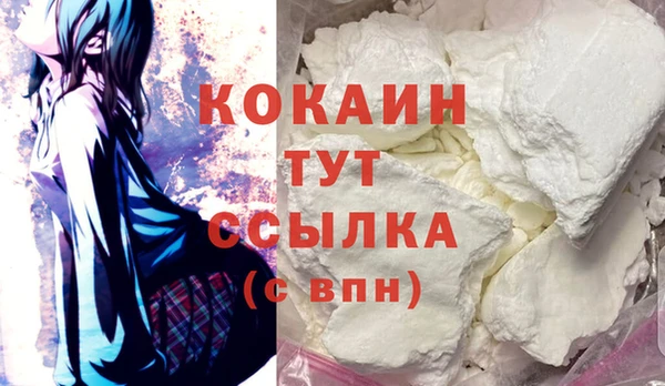 прущие грибы Бронницы