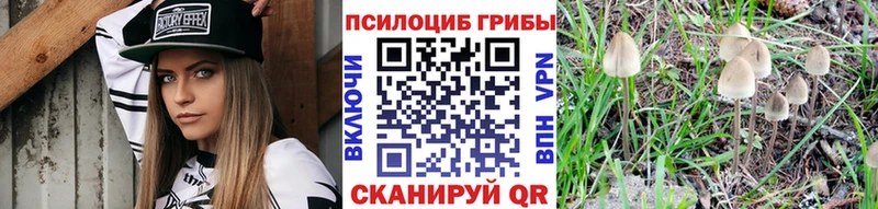 Купить  Назарово  Галлюциногенные грибы GOLDEN TEACHER 